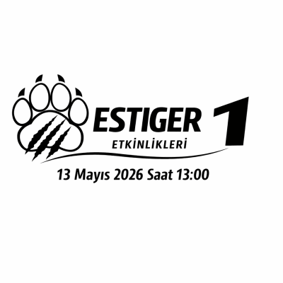 ESTİGER 1